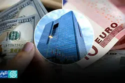 سیف: ارز در ایران مدعیان زیادی دارد/ تصمیم گیری فقط با بانک مرکزی نیست