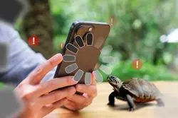 لنگر کشتی، عامل احتمالی آسیب به کابل‌های حیاتی اینترنت