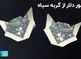 عبور دلار از گربه سیاه