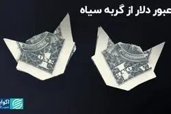 عبور دلار از گربه سیاه