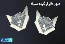 عبور دلار از گربه سیاه