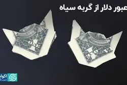 عبور دلار از گربه سیاه