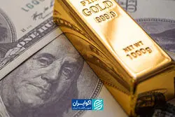 از سیاست تا اقتصاد؛ چرا دلار و طلا همزمان اوج گرفتند؟