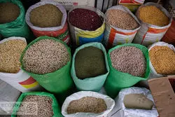 صادرات حبوبات تا اطلاع ثانوی ممنوع شد