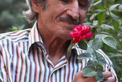 فکری برای بستن زخم‌های شاپرک کنیم