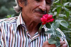 فکری برای بستن زخم‌های شاپرک کنیم