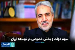 سهم دولت و بخش خصوصی در توسعه ایران