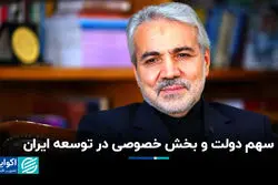 سهم دولت و بخش خصوصی در توسعه ایران