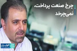صنعت پرداخت کشور توجیه اقتصادی ندارد؟