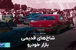 شاخ های قدیمی بازار خودرو