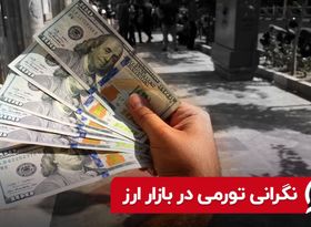 نگرانی تورمی در بازار ارز