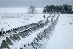 آغازی بر پایان یک رویا/ سایه تردید بر سر قاره سبز؛ شوک ترامپ مچ اوکراین را می‌خواباند؟