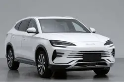 بازار خودروی ایران آماده پذیرایی از محصولات این غول خودروسازی دنیا می شود / رقیب تسلا در راه بازار