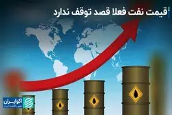 قیمت نفت فعلا قصد توقف ندارد