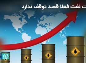 قیمت نفت فعلا قصد توقف ندارد