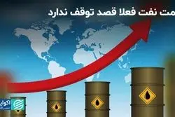قیمت نفت فعلا قصد توقف ندارد