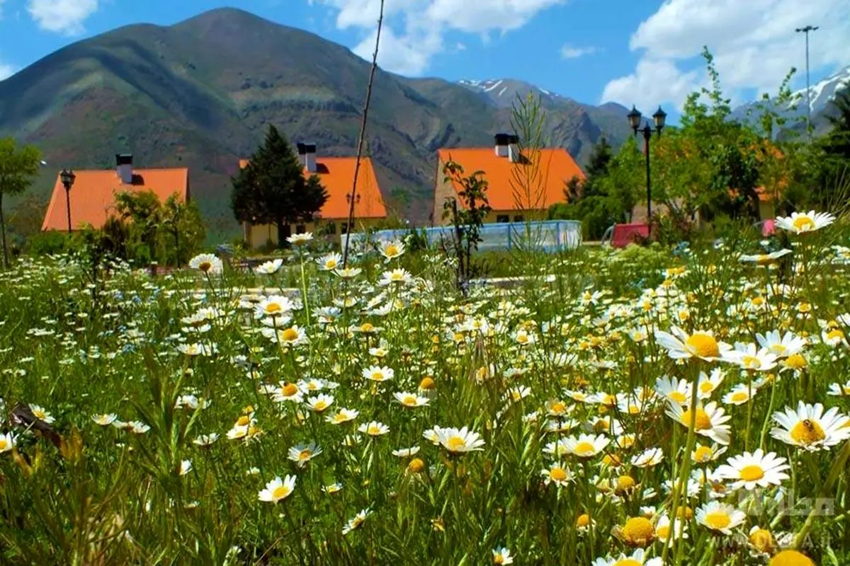 برای فرار از دود و آلودگی هوای تهران به کجا برویم؟