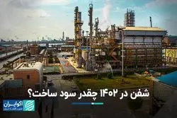 شفن در 1402 چقدر سود ساخت؟