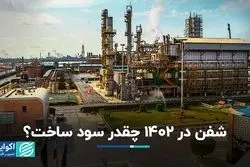 شفن در 1402 چقدر سود ساخت؟