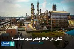 شفن در 1402 چقدر سود ساخت؟