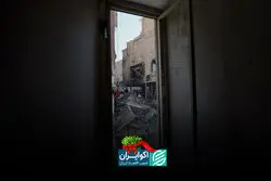 تاثیر جنگ‌ها بر گونه‌های جانوری و گیاهی 