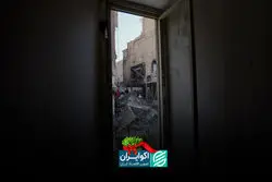 تاثیر جنگ‌ها بر گونه‌های جانوری و گیاهی 
