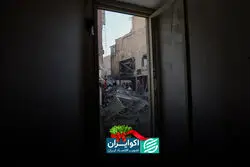 تاثیر جنگ‌ها بر گونه‌های جانوری و گیاهی 