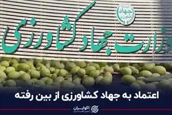 اعتماد به جهاد کشاورزی از بین رفته