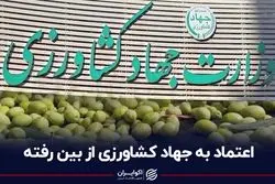 اعتماد به جهاد کشاورزی از بین رفته