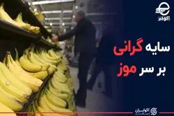 سایه گرانی بر سر موز