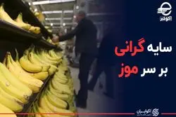 سایه گرانی بر سر موز