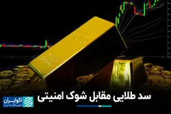 سد طلایی مقابل شوک امنیتی