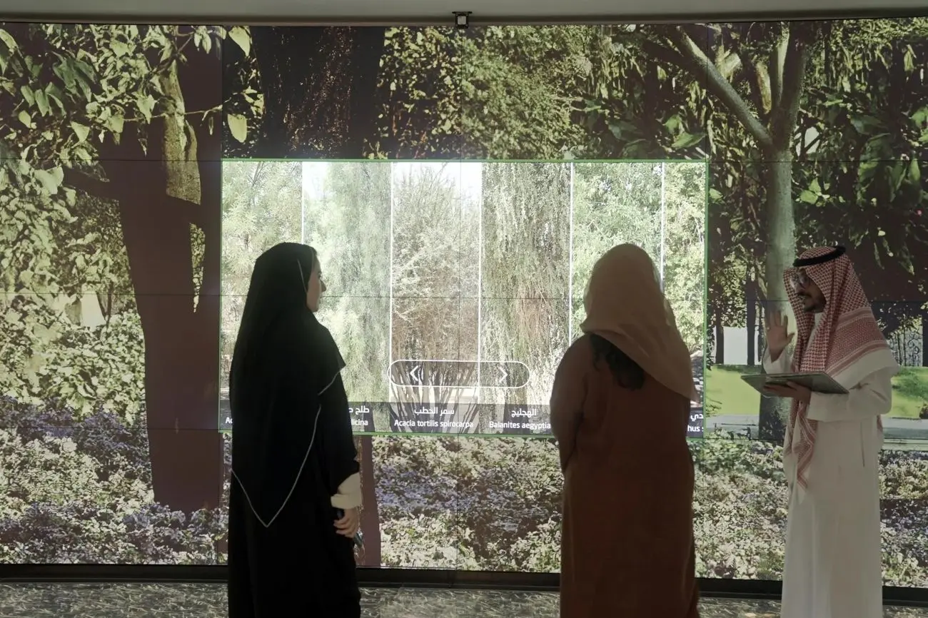 قمار بلندپروازانه خلیج فارس در هوش مصنوعی؛ آیا عبور از اقتصاد نفتی ممکن است؟