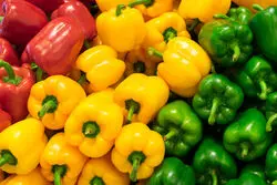 راه حل موقت برای صادرات به روسیه