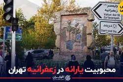 میزان محبوبیت یارانه در زعفرانیه تهران