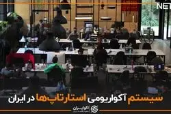 سیستم آکواریومی استارتاپ ها در ایران