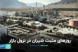 روزهای مثبت شیران در نزول بازار