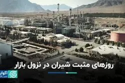 روزهای مثبت شیران در نزول بازار