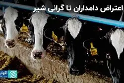 از شیر گاو تا سرمایه دامدار