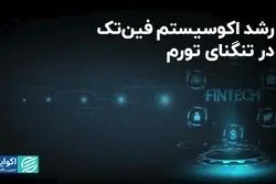 رشد اکوسیستم فین تک در تنگنای تورم