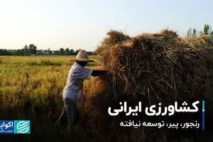 کشاورزی ایرانی؛  رنجور، پیر، توسعه نیافته