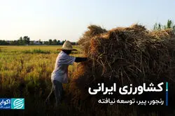 کشاورزی ایرانی؛  رنجور، پیر، توسعه نیافته