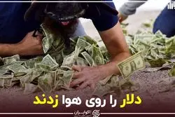 دلار را روی هوا زدند