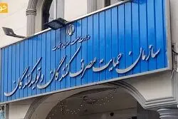 توضیح سازمان حمایت درباره ابطال ضوابط قیمت‌گذاری خودرو