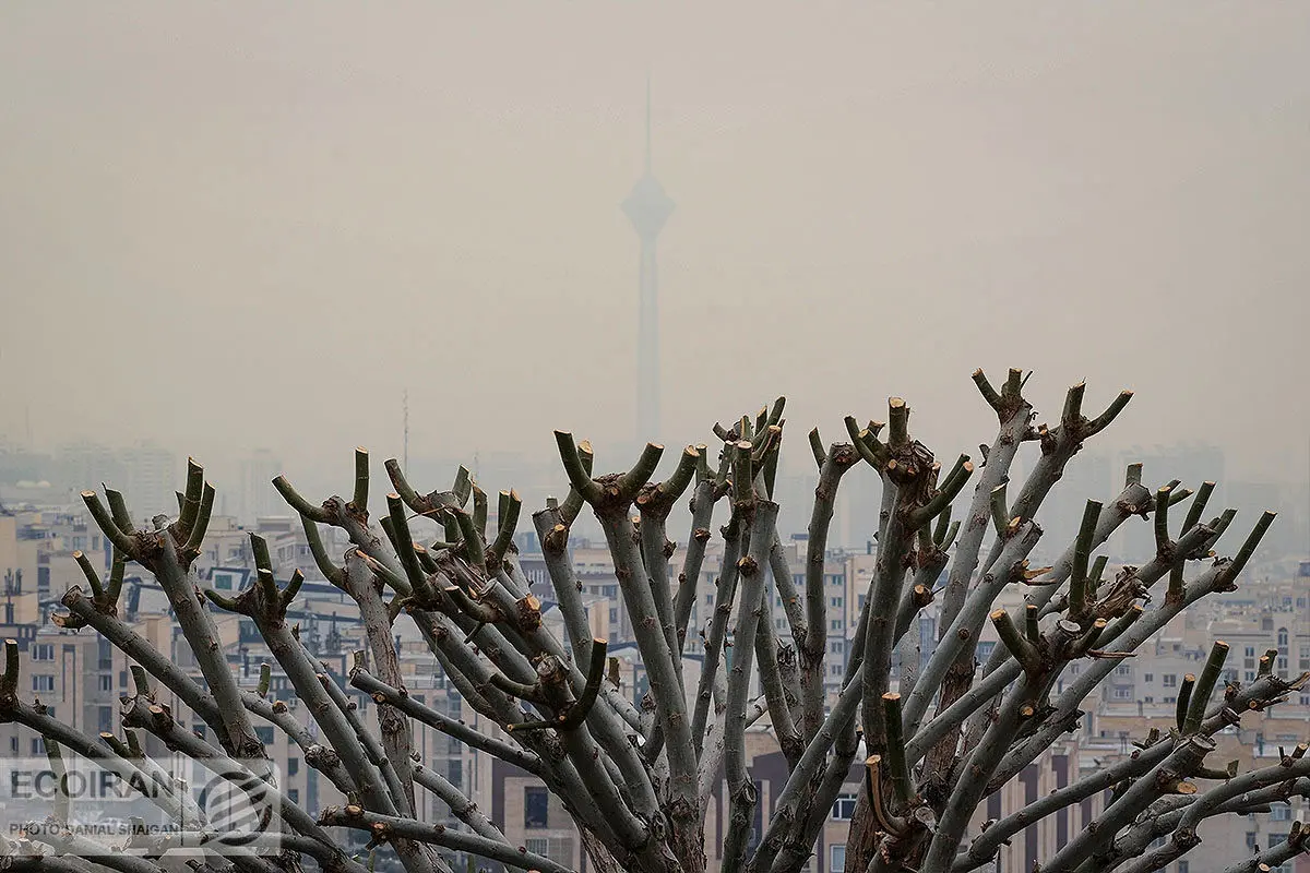 چند نفر بر اثر آلودگی هوا می‌میرند؟+آلودگی هوا چه قدر خسارت اقتصادی دارد؟