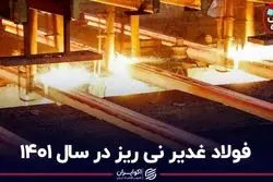 فولاد غدیر نی ریز در سال ۱۴۰۱