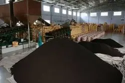 آغاز رسمی ثبت سفارش چای و حبوبات؛ تامین نیاز تابستانه کلید خورد