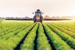 جهش ۳۲ درصدی صادرات کشاورزی ایران