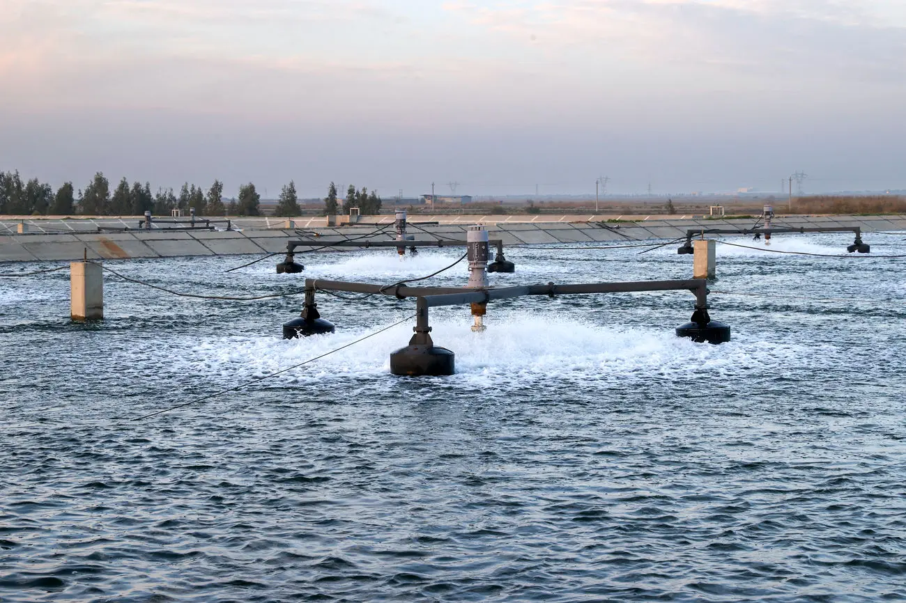 ساخت تصفیه خانه فاضلاب در بهشهر و گلوگاه آغاز می شود