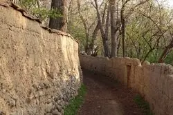 مخالفت با طرحی که باغ های خرمالوی کن را نابود می کرد

